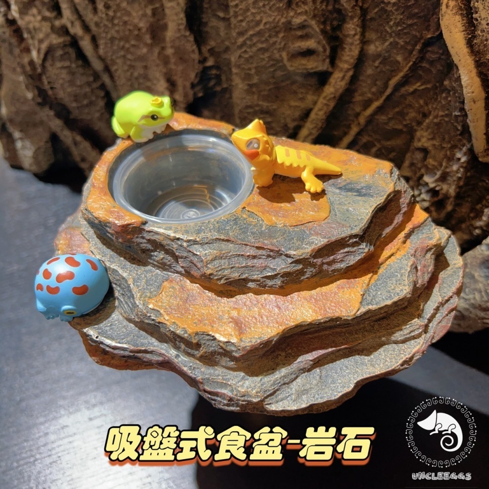 蛋叔叔-爬蟲先生-吸盤式食盆-樹根/睫角守宮/餵食盆/水盆/食盆/樹蛙/果泥/水皿/日型守宮/豹紋守宮/鬆獅蜥-細節圖2