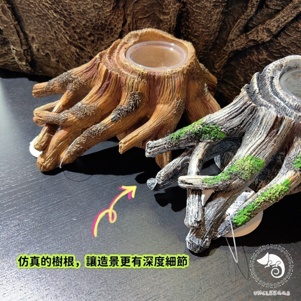 蛋叔叔-爬蟲先生-吸盤式食盆-樹根/睫角守宮/餵食盆/水盆/食盆/樹蛙/果泥/水皿/日型守宮/豹紋守宮/鬆獅蜥-細節圖4