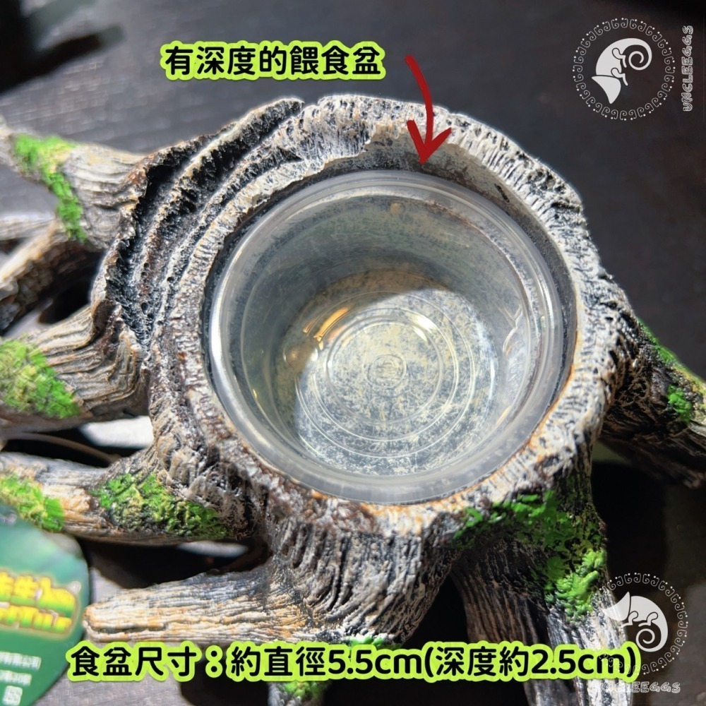 蛋叔叔-爬蟲先生-吸盤式食盆-樹根/睫角守宮/餵食盆/水盆/食盆/樹蛙/果泥/水皿/日型守宮/豹紋守宮/鬆獅蜥-細節圖5