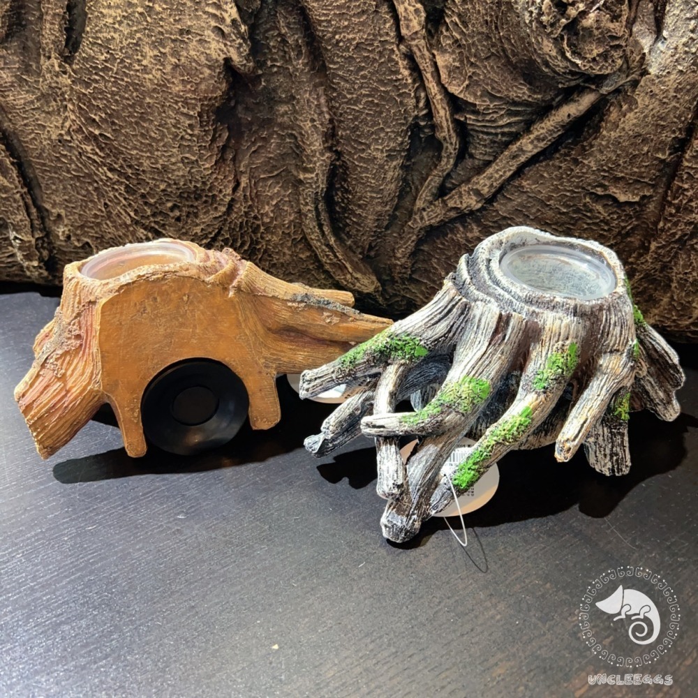 蛋叔叔-爬蟲先生-吸盤式食盆-樹根/睫角守宮/餵食盆/水盆/食盆/樹蛙/果泥/水皿/日型守宮/豹紋守宮/鬆獅蜥-細節圖8