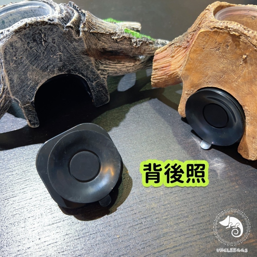 蛋叔叔-爬蟲先生-吸盤式食盆-樹根/睫角守宮/餵食盆/水盆/食盆/樹蛙/果泥/水皿/日型守宮/豹紋守宮/鬆獅蜥-細節圖9