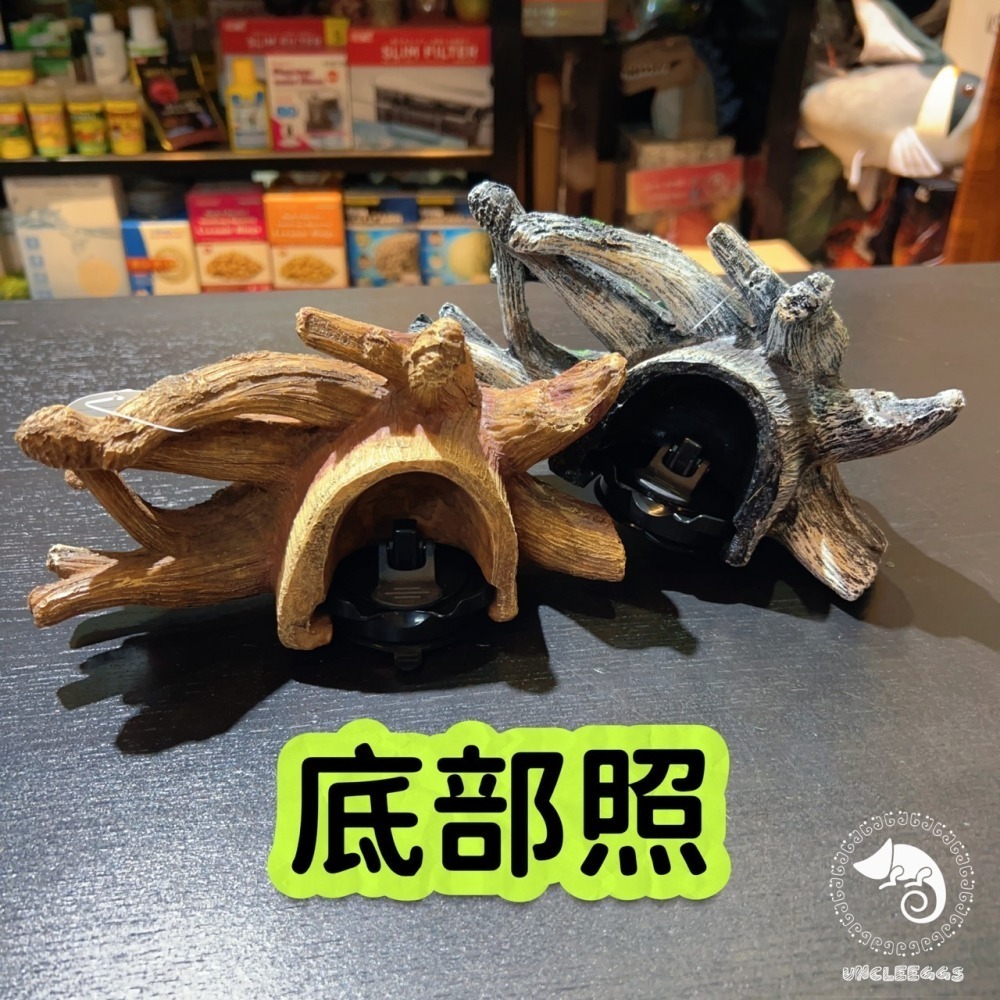 蛋叔叔-爬蟲先生-吸盤式食盆-樹根/睫角守宮/餵食盆/水盆/食盆/樹蛙/果泥/水皿/日型守宮/豹紋守宮/鬆獅蜥-細節圖10