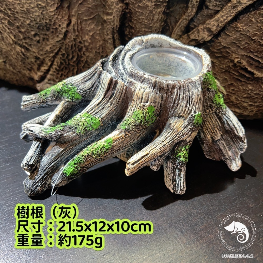 蛋叔叔-爬蟲先生-吸盤式食盆-樹根/睫角守宮/餵食盆/水盆/食盆/樹蛙/果泥/水皿/日型守宮/豹紋守宮/鬆獅蜥-規格圖11