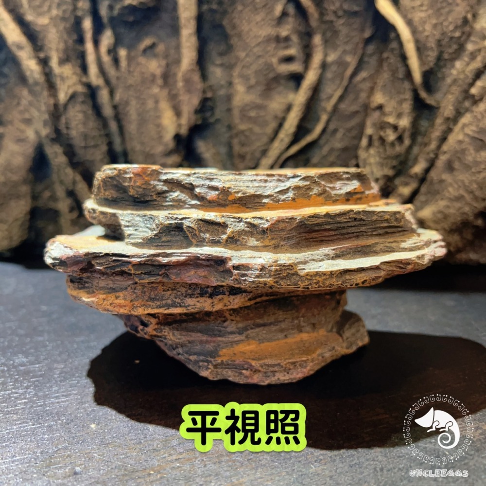 蛋叔叔-爬蟲先生-吸盤式食盆-岩石/日型守宮/豹紋守宮/鬆獅蜥/睫角守宮/餵食盆/水盆/食盆/樹蛙/果泥/水皿/紅眼樹蛙-細節圖2