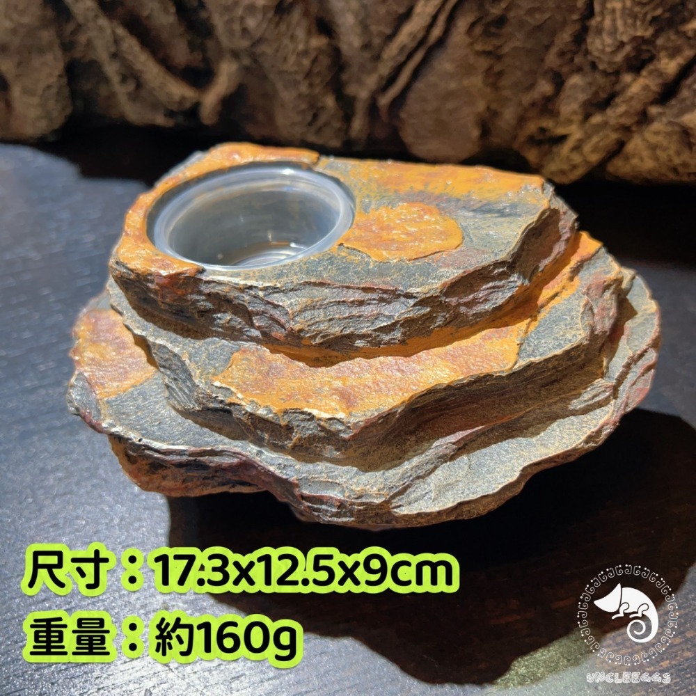 蛋叔叔-爬蟲先生-吸盤式食盆-岩石/日型守宮/豹紋守宮/鬆獅蜥/睫角守宮/餵食盆/水盆/食盆/樹蛙/果泥/水皿/紅眼樹蛙-細節圖3