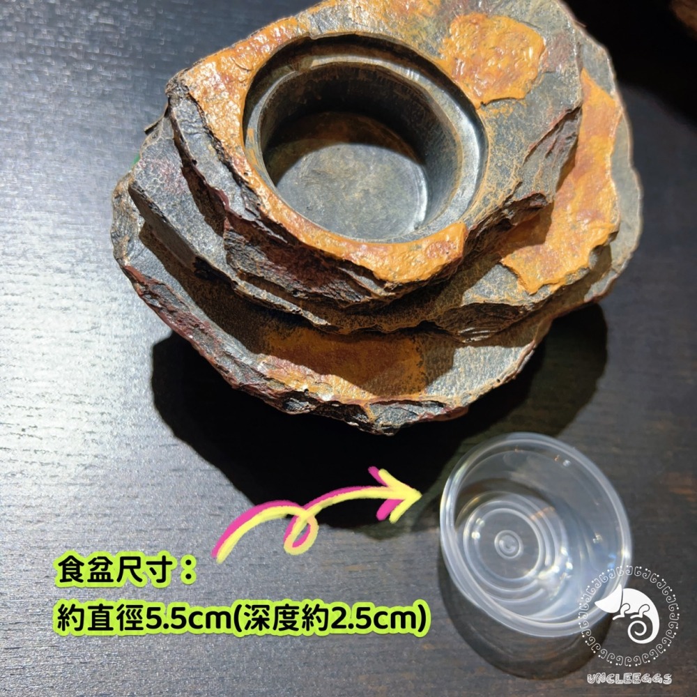 蛋叔叔-爬蟲先生-吸盤式食盆-岩石/日型守宮/豹紋守宮/鬆獅蜥/睫角守宮/餵食盆/水盆/食盆/樹蛙/果泥/水皿/紅眼樹蛙-細節圖5