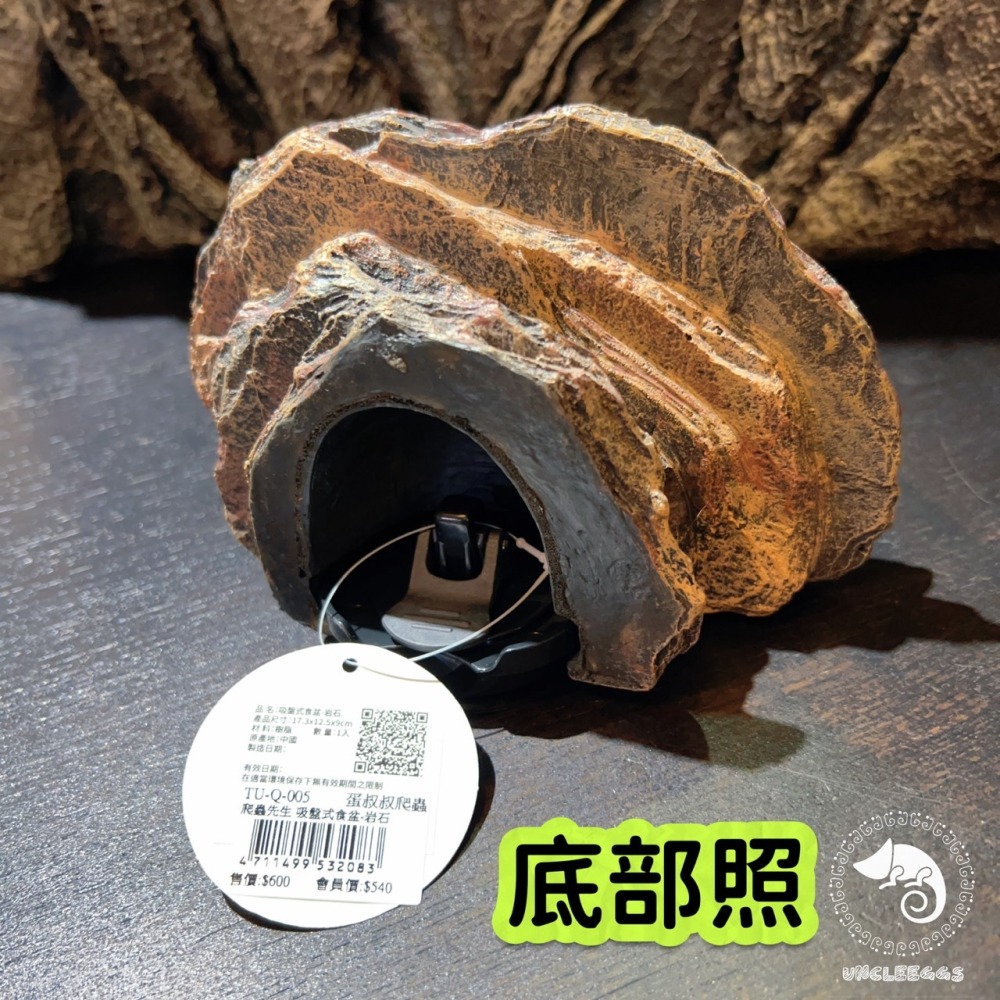 蛋叔叔-爬蟲先生-吸盤式食盆-岩石/日型守宮/豹紋守宮/鬆獅蜥/睫角守宮/餵食盆/水盆/食盆/樹蛙/果泥/水皿/紅眼樹蛙-細節圖6