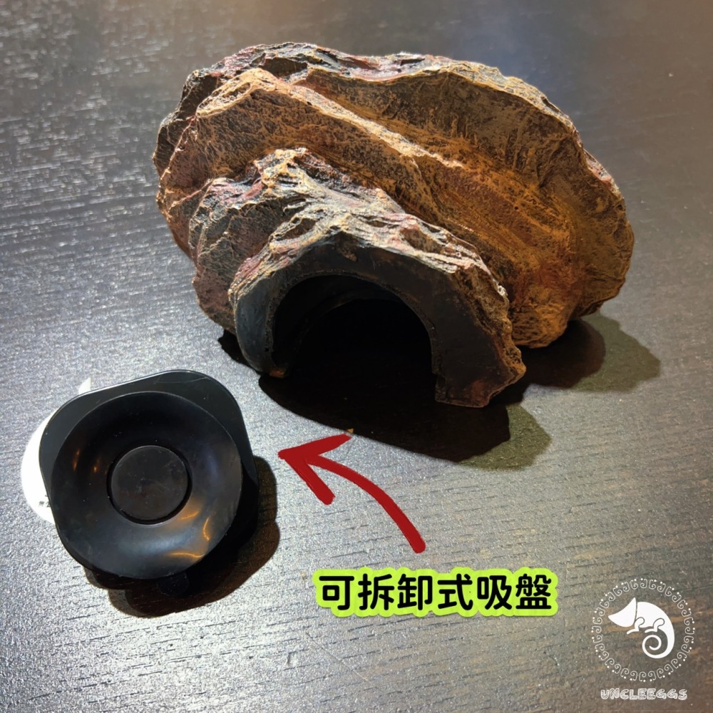 蛋叔叔-爬蟲先生-吸盤式食盆-岩石/日型守宮/豹紋守宮/鬆獅蜥/睫角守宮/餵食盆/水盆/食盆/樹蛙/果泥/水皿/紅眼樹蛙-細節圖7