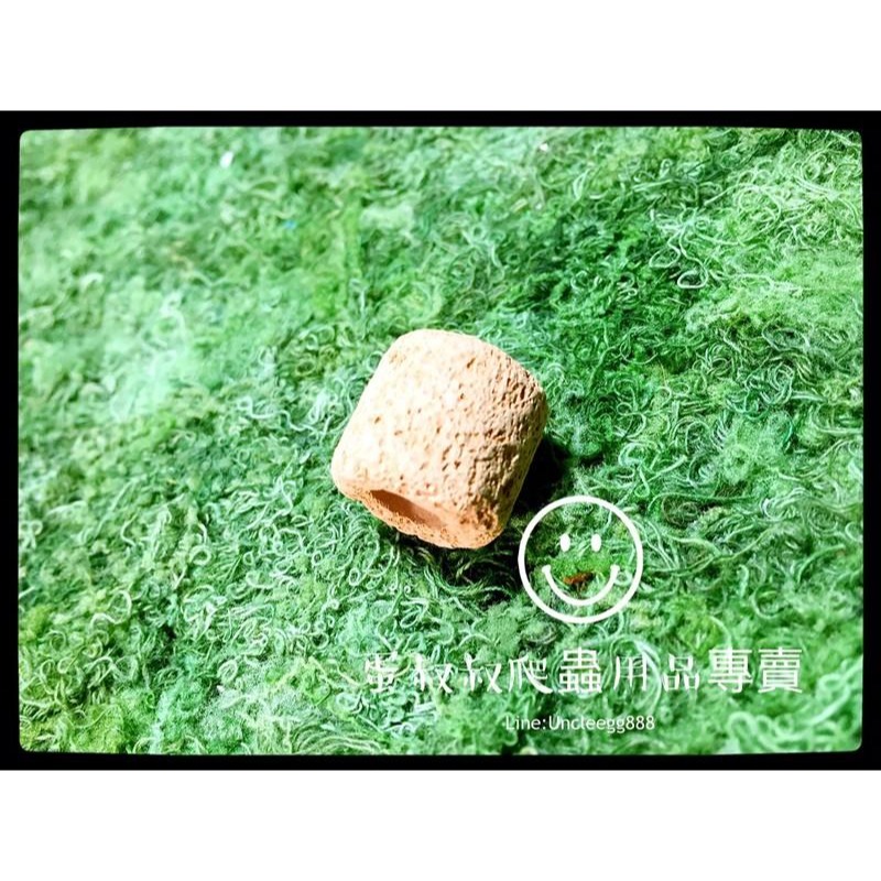 蛋叔叔-EGG澤龜專用硝化菌陶瓷環/S/M/培菌/過濾/開缸/硝化系統/生物過濾/測濾缸/底濾缸/濾材-細節圖3
