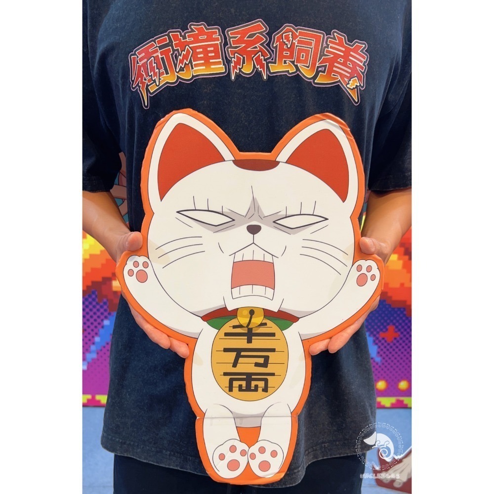 【現貨】三小爬寵 x 蛋叔叔爬蟲用品-衝撞系飼養-聯名水洗T/掛軸/預購產品/限量發售/潮T/海報/爬蟲祭-規格圖11