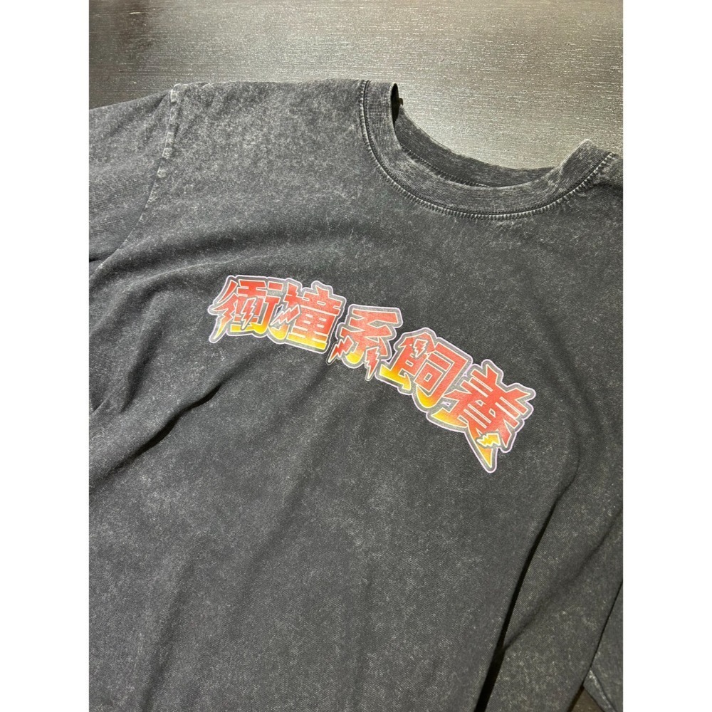 【現貨】三小爬寵 x 蛋叔叔爬蟲用品-衝撞系飼養-聯名水洗T/掛軸/預購產品/限量發售/潮T/海報/爬蟲祭-規格圖11