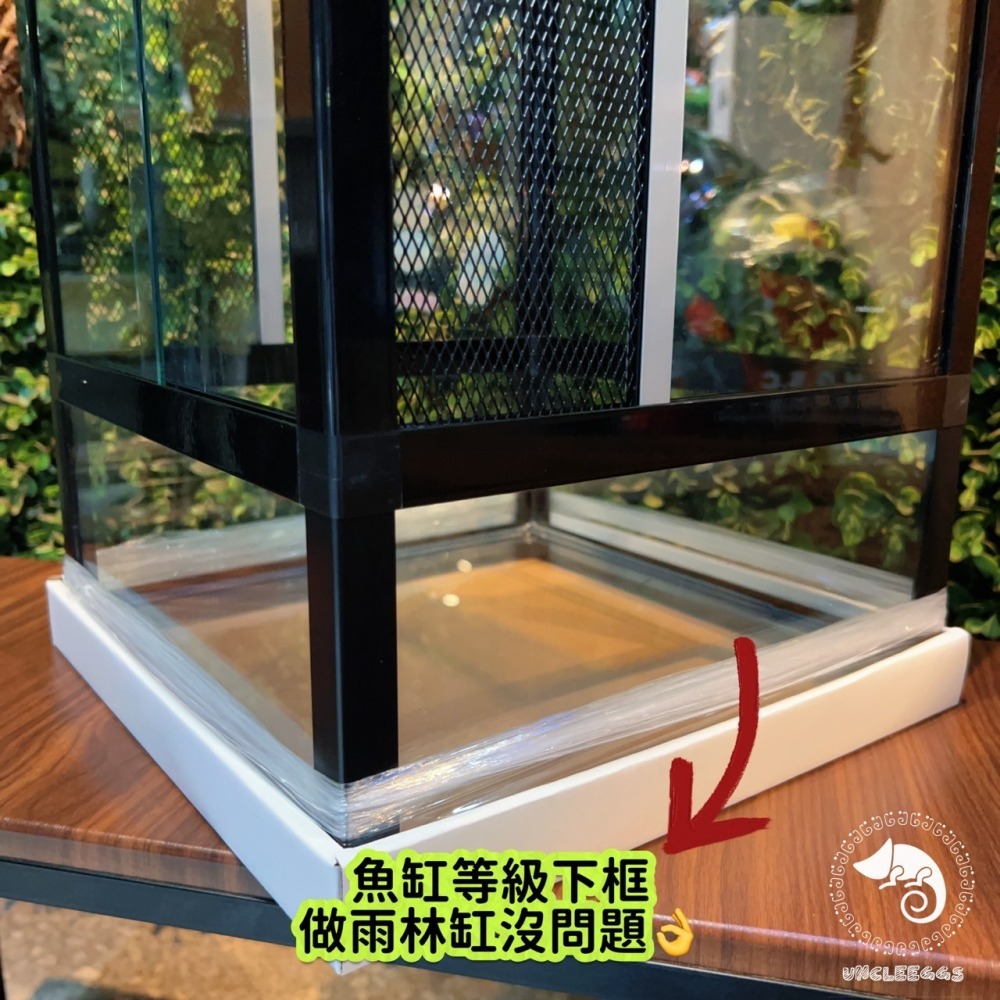 蛋叔叔【免運費】鋁框半網樹棲缸/爬蟲箱/寵物箱/寵物缸/樹棲缸/樹棲型/巨人守宮/睫角守宮/變色龍/雨林缸/造景缸-細節圖6