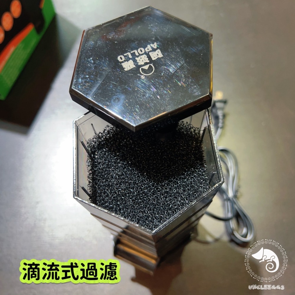 蛋叔叔-Hygger-阿波羅蜂巢低水位過濾器/角落型/烏龜過濾器/蠑螈/六角恐龍/角蛙過濾器/蛋龜/幼龜/鑽紋龜/吸底-細節圖6