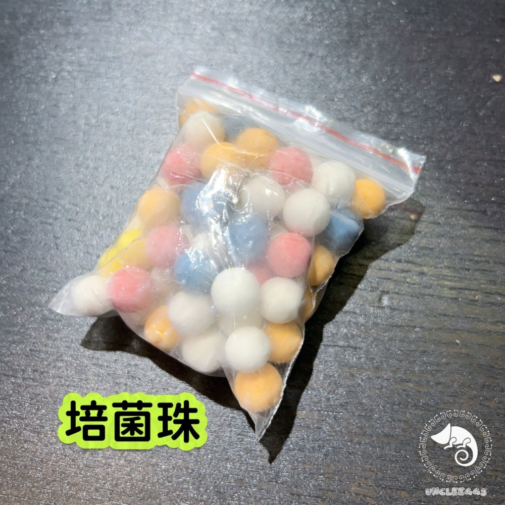 蛋叔叔-Hygger-阿波羅蜂巢低水位過濾器/角落型/烏龜過濾器/蠑螈/六角恐龍/角蛙過濾器/蛋龜/幼龜/鑽紋龜/吸底-細節圖7