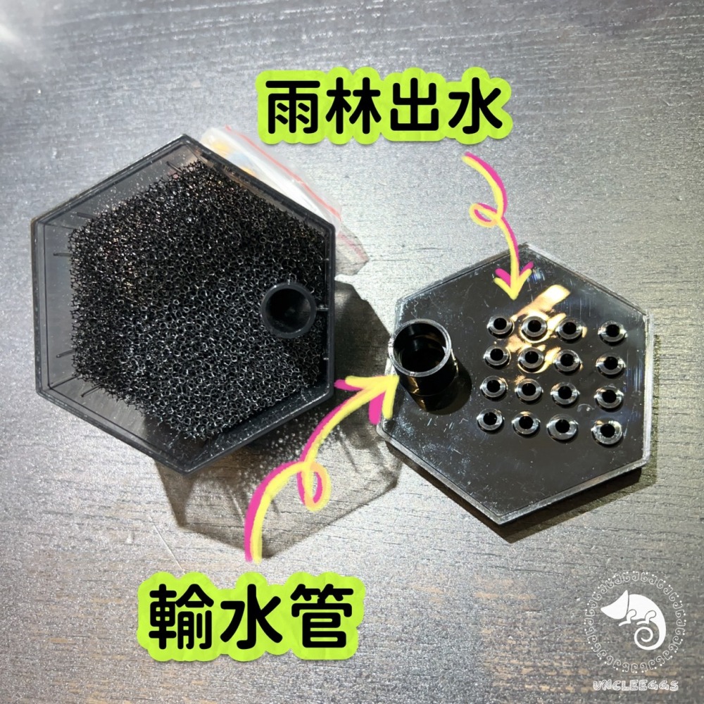 蛋叔叔-Hygger-阿波羅蜂巢低水位過濾器/角落型/烏龜過濾器/蠑螈/六角恐龍/角蛙過濾器/蛋龜/幼龜/鑽紋龜/吸底-細節圖8
