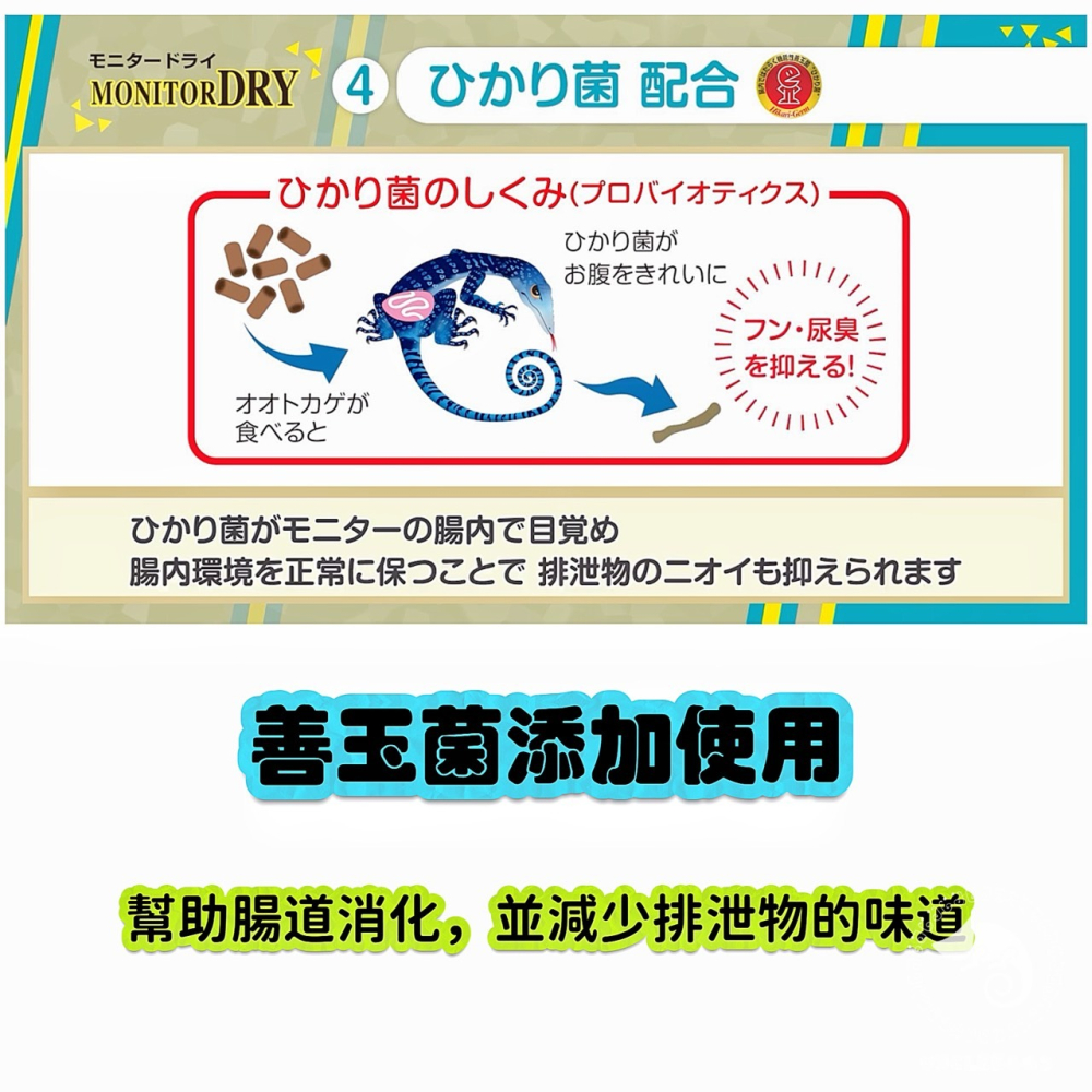 蛋叔叔-Hikari-高夠力巨蜥飼料/高蛋白低脂肪/高適口性/巨蜥/樹巨蜥/南美蜥/草原巨蜥/鬆獅蜥/澤巨蜥-細節圖6