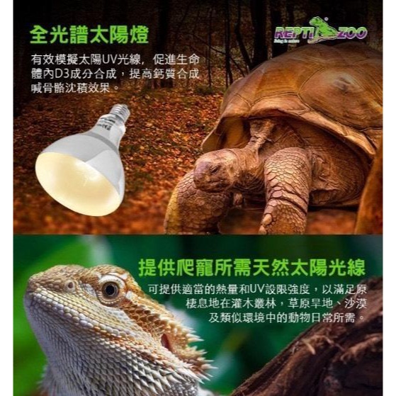 蛋叔叔-REPTIZOO-全光譜太陽燈/UVB/紫外線聚熱燈/紫外線燈/加熱燈/10.0/取暖燈/聚熱燈/補鈣燈/沙漠型-細節圖2