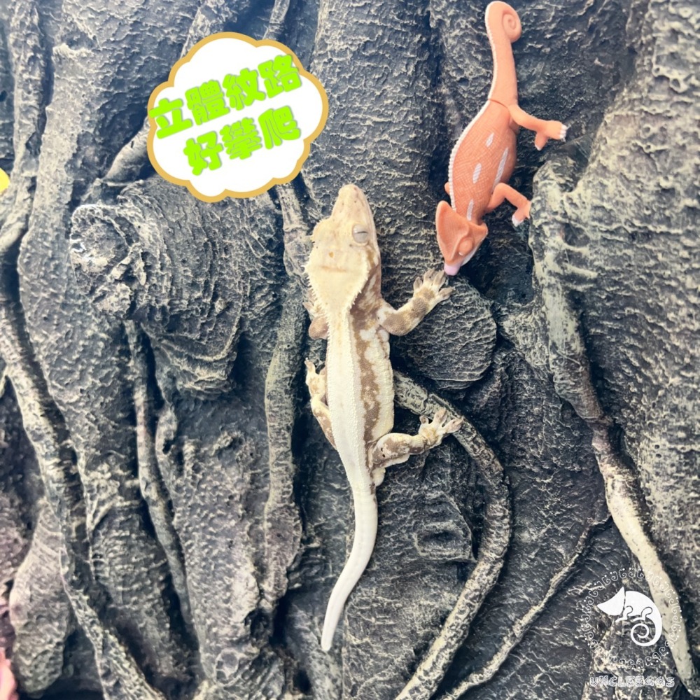 蛋叔叔-白樺木立體背景板/3D立體/岩板/背板/造景/3D景/雨林景/背景/保麗龍/雨林缸/木紋/DIY/爬台/曬台-細節圖4