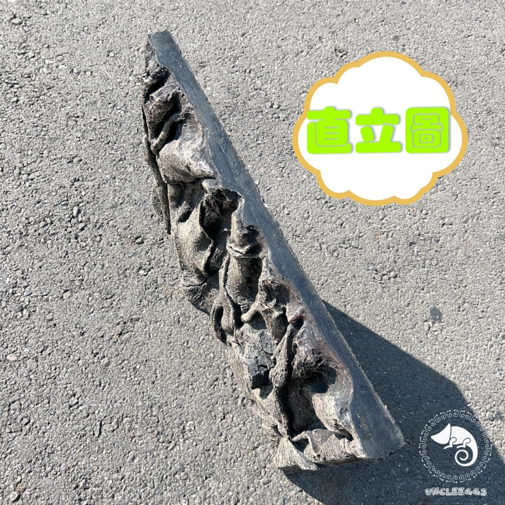 蛋叔叔-白樺木立體背景板/3D立體/岩板/背板/造景/3D景/雨林景/背景/保麗龍/雨林缸/木紋/DIY/爬台/曬台-細節圖7