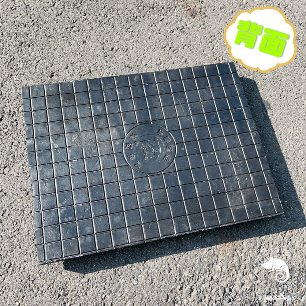 蛋叔叔-白樺木立體背景板/3D立體/岩板/背板/造景/3D景/雨林景/背景/保麗龍/雨林缸/木紋/DIY/爬台/曬台-細節圖8