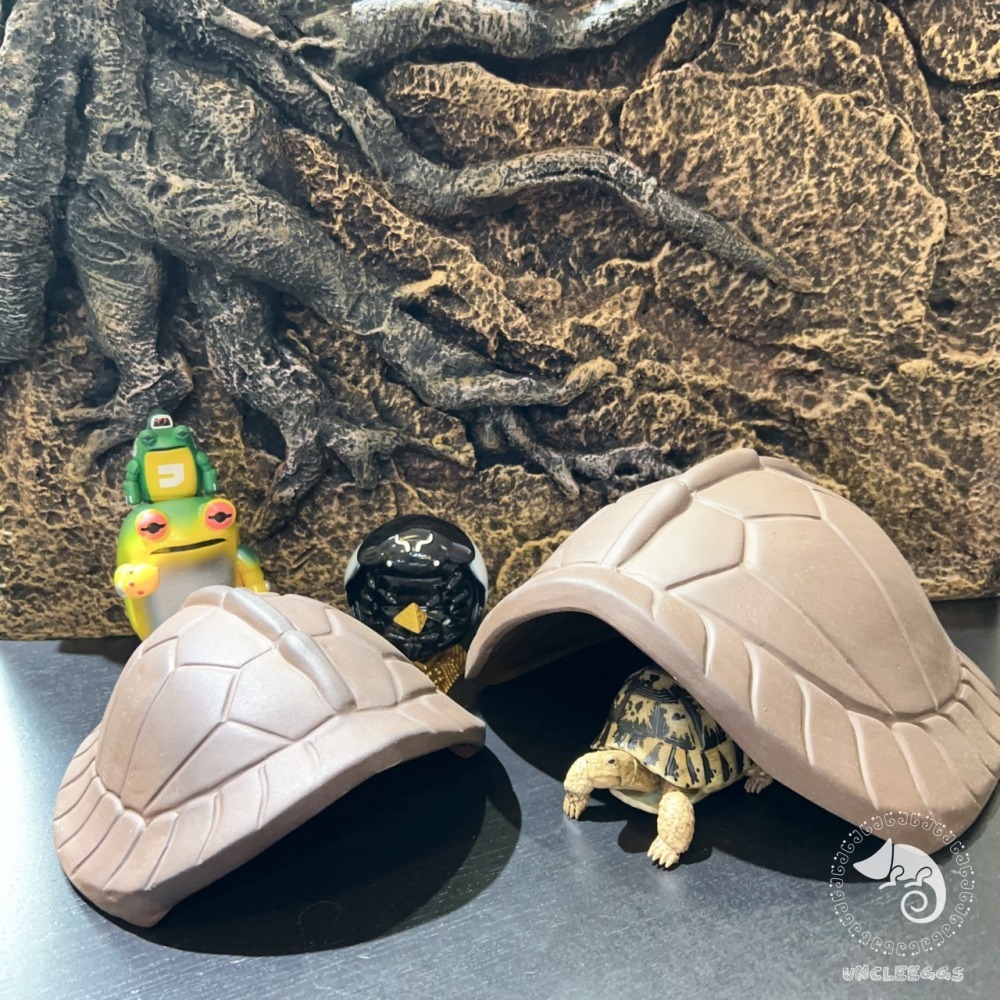 蛋叔叔-龜甲陶瓷躲避屋/保濕/洞穴/躲藏洞/守宮洞/守宮屋/烏龜洞/蛇窩/加濕洞/龜殼屋/陶瓷屋/防隆背/陸龜/箱龜/蛇-細節圖2