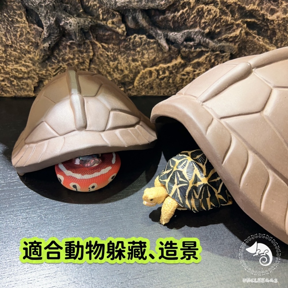 蛋叔叔-龜甲陶瓷躲避屋/保濕/洞穴/躲藏洞/守宮洞/守宮屋/烏龜洞/蛇窩/加濕洞/龜殼屋/陶瓷屋/防隆背/陸龜/箱龜/蛇-細節圖4