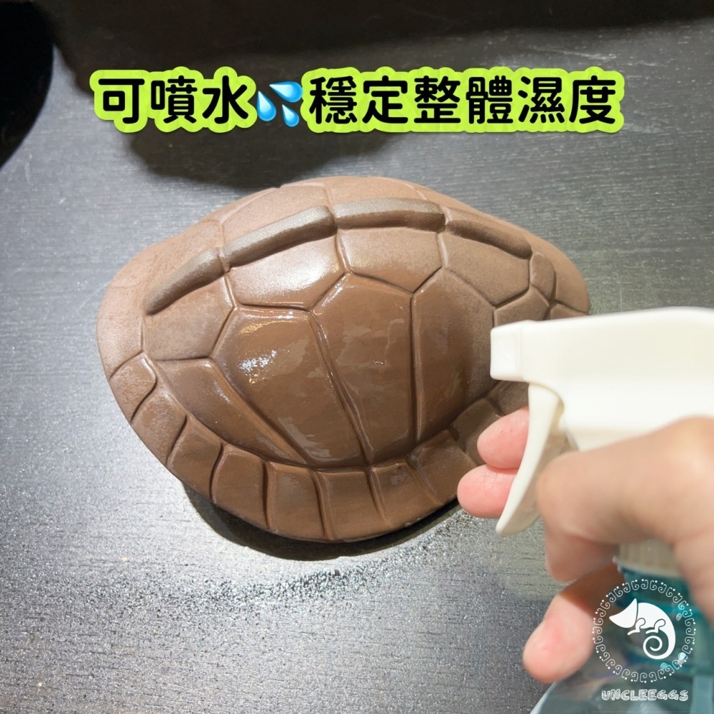 蛋叔叔-龜甲陶瓷躲避屋/保濕/洞穴/躲藏洞/守宮洞/守宮屋/烏龜洞/蛇窩/加濕洞/龜殼屋/陶瓷屋/防隆背/陸龜/箱龜/蛇-細節圖5