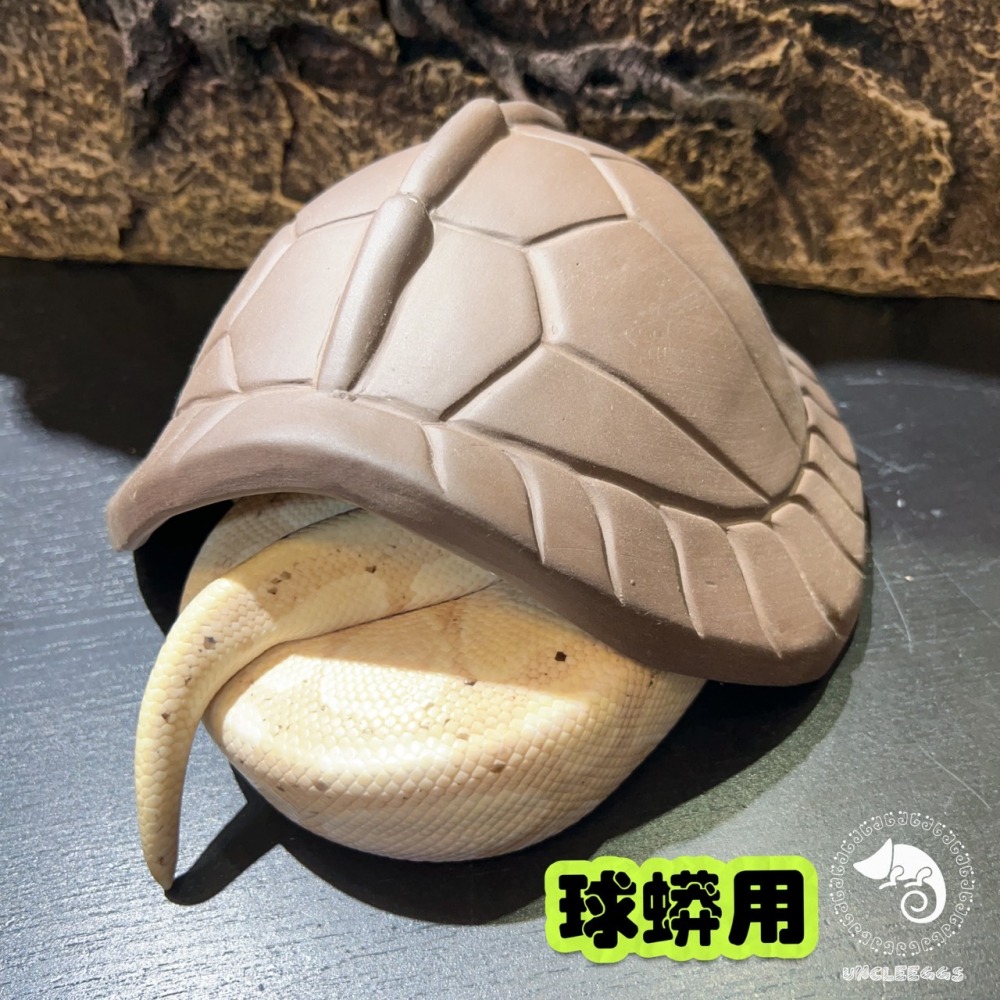 蛋叔叔-龜甲陶瓷躲避屋/保濕/洞穴/躲藏洞/守宮洞/守宮屋/烏龜洞/蛇窩/加濕洞/龜殼屋/陶瓷屋/防隆背/陸龜/箱龜/蛇-細節圖6