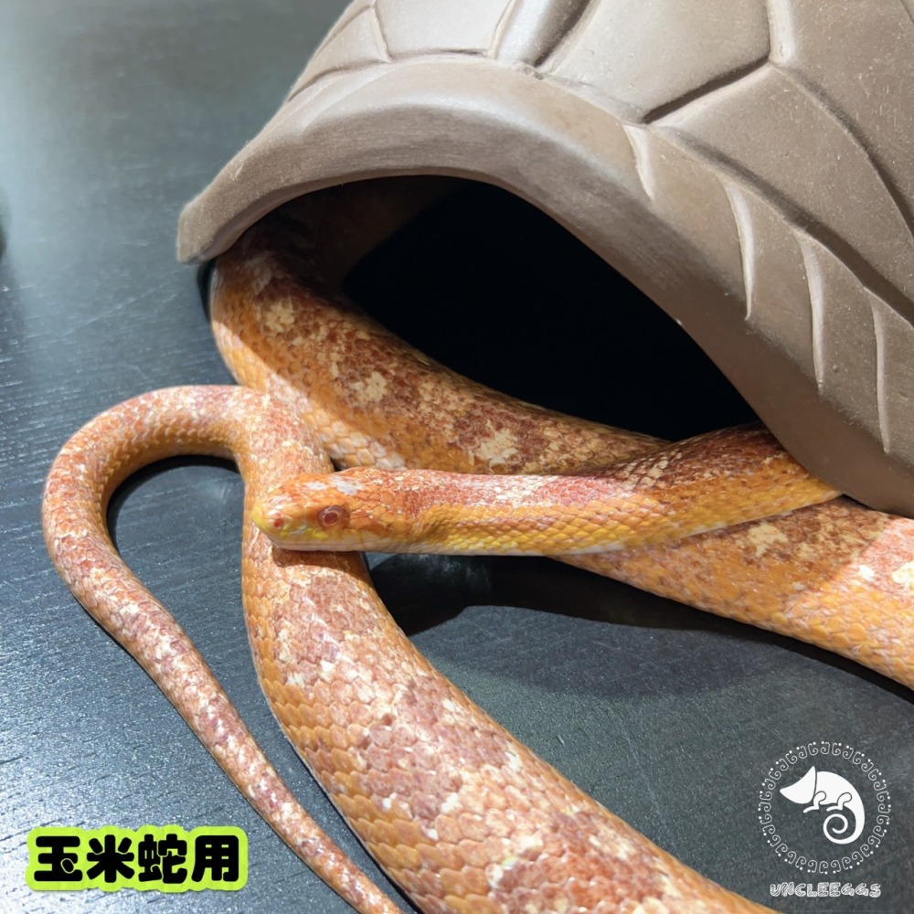 蛋叔叔-龜甲陶瓷躲避屋/保濕/洞穴/躲藏洞/守宮洞/守宮屋/烏龜洞/蛇窩/加濕洞/龜殼屋/陶瓷屋/防隆背/陸龜/箱龜/蛇-細節圖7