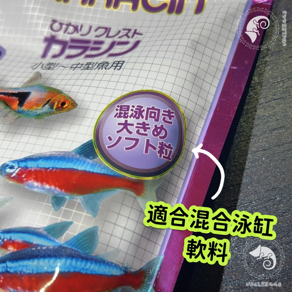 蛋叔叔-Hikari高夠力燈科魚飼料/孔雀魚飼料/魚飼料/小魚飼料/鬥魚飼料/櫻桃燈/噴火燈/火翅金鑽燈/紅蓮燈/綠連燈-細節圖4