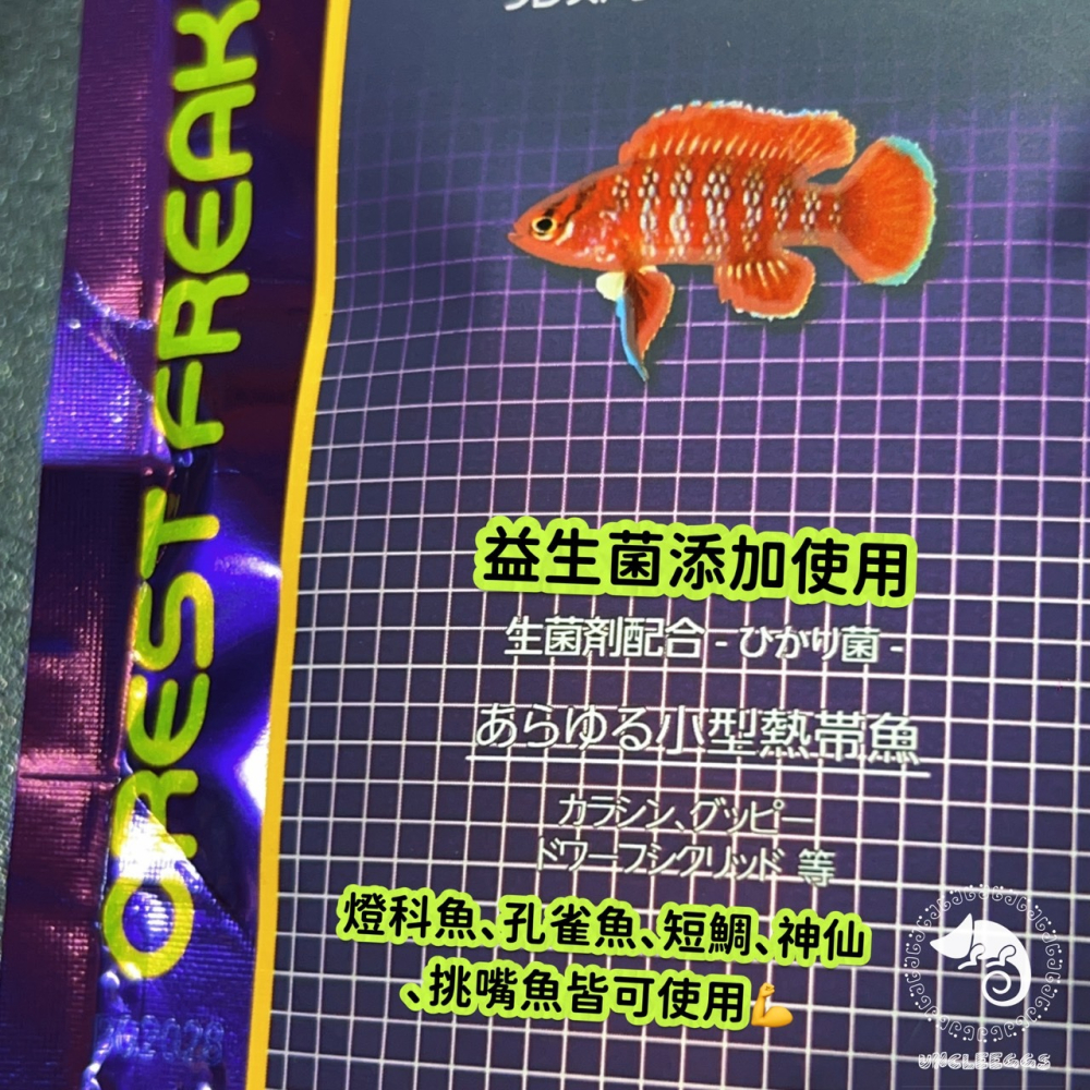 蛋叔叔-Hikari高夠力-Viobites-高適口性熱帶魚飼料/小型魚/假紅蟲/挑嘴魚飼料/燈科魚飼料/鬥魚/孔雀魚-細節圖5