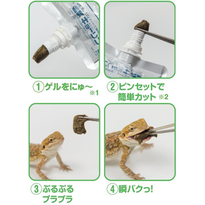 蛋叔叔-Hikari-高夠力-食蟲動物膏狀飼料雜食性(幼體)60g/鬆獅蜥飼料/幼鬆/蜥蜴飼料/營養膏/果凍鬆獅/藍舌蜥-細節圖2