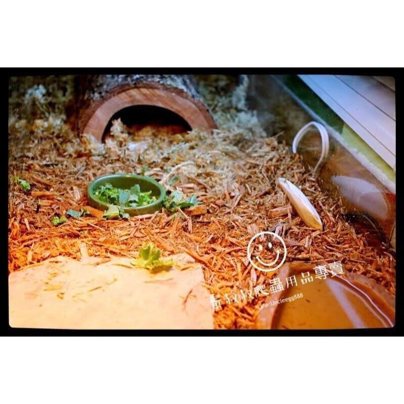 蛋叔叔-Zoomed-柏木皮底屑26.4L/木屑/底材/森林地表/雨林缸/濕地/樹皮/紅腿象龜/亞達伯拉-細節圖3