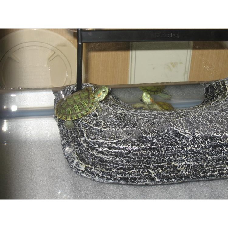 蛋叔叔-Suisaku水作烏龜浮島/曬台/浮台/浮島/烏龜島/巴西龜/地圖龜/大花臉/台灣龜/側頸龜/忍者龜-細節圖3