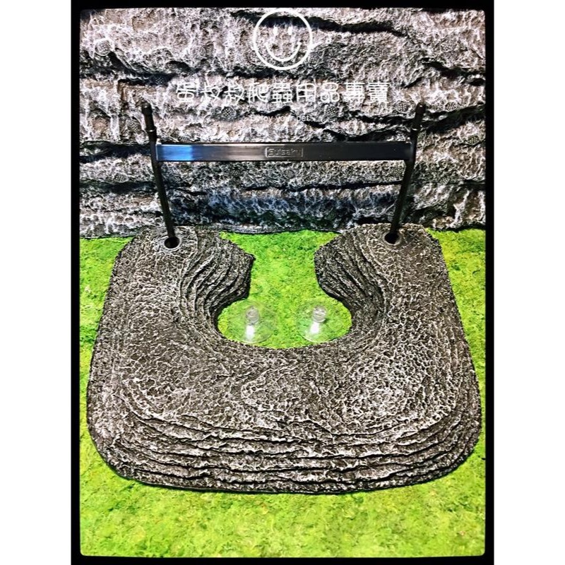 蛋叔叔-Suisaku水作烏龜浮島/曬台/浮台/浮島/烏龜島/巴西龜/地圖龜/大花臉/台灣龜/側頸龜/忍者龜-細節圖5