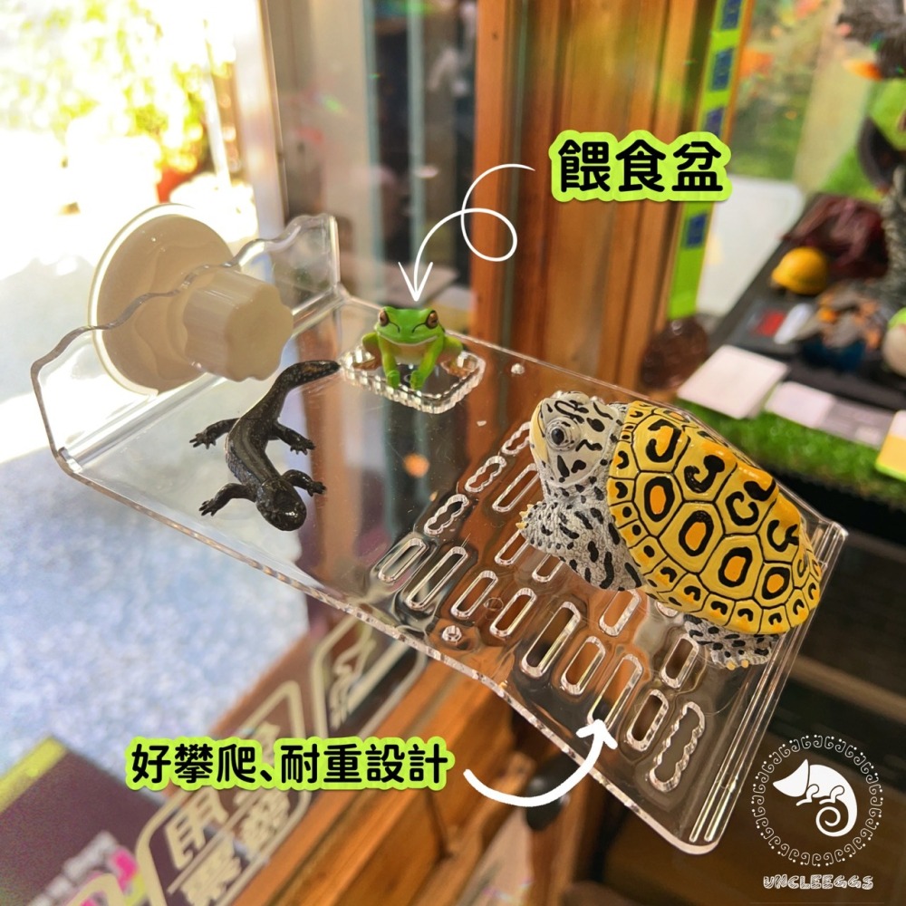蛋叔叔-爬蟲先生-烏龜專用爬台/壓克力/吸盤式/曬台/浮島/烏龜島/寄居蟹/六角恐龍/巴西龜/地圖龜/大花臉/樹蛙-細節圖2