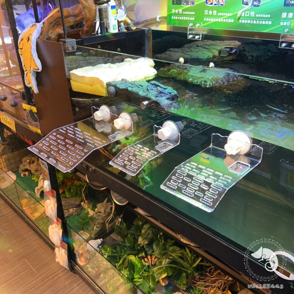 蛋叔叔-爬蟲先生-烏龜專用爬台/壓克力/吸盤式/曬台/浮島/烏龜島/寄居蟹/六角恐龍/巴西龜/地圖龜/大花臉/樹蛙-細節圖3