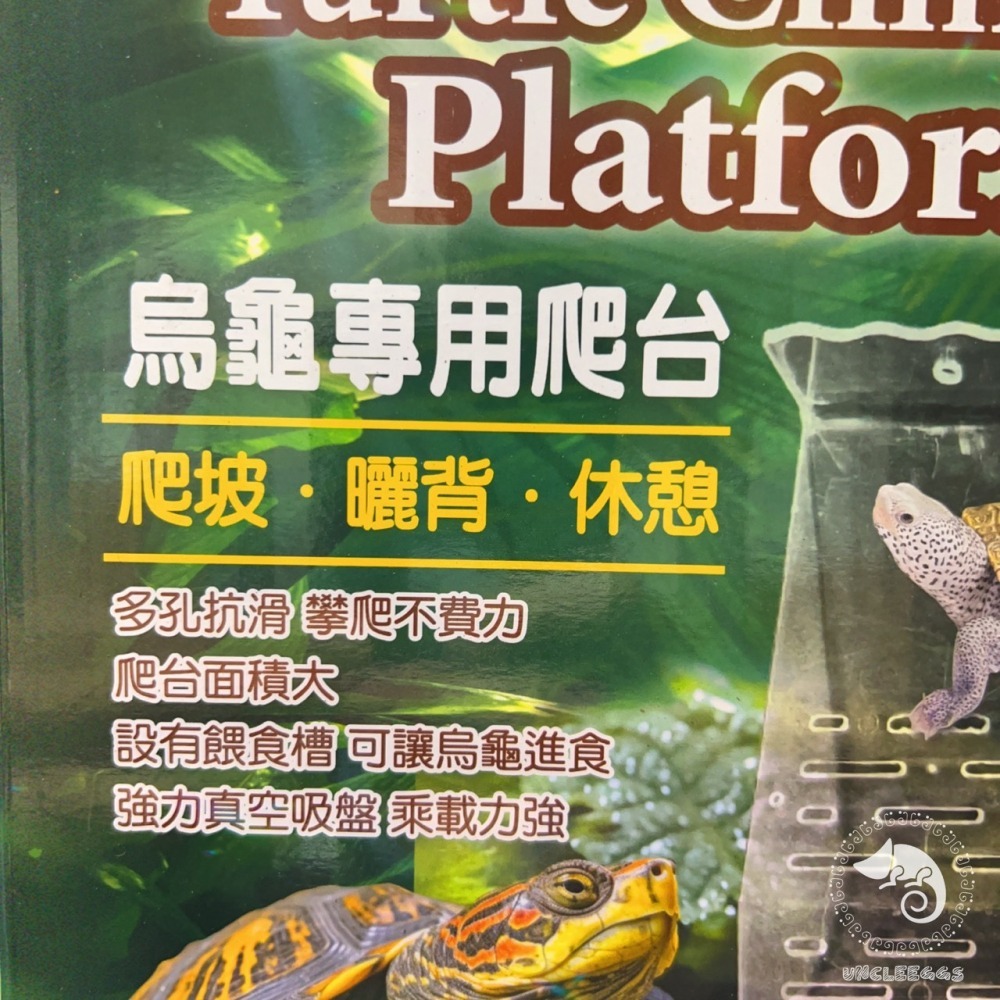 蛋叔叔-爬蟲先生-烏龜專用爬台/壓克力/吸盤式/曬台/浮島/烏龜島/寄居蟹/六角恐龍/巴西龜/地圖龜/大花臉/樹蛙-細節圖9