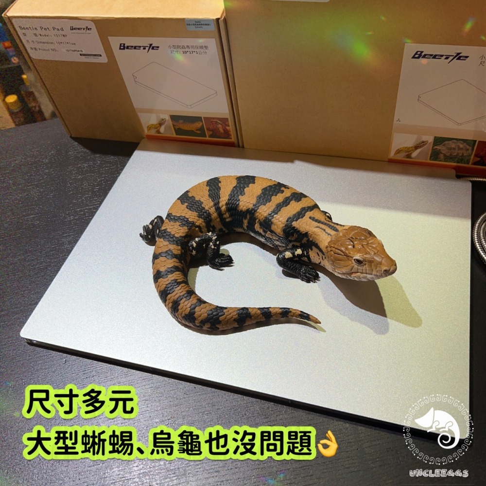 蛋叔叔-Beetle-爬蟲金屬恆溫保暖墊/加熱片/腹部加溫/底部加溫/加熱片/加溫片/耐磨/防潑水/夜間加溫/加熱器-細節圖4