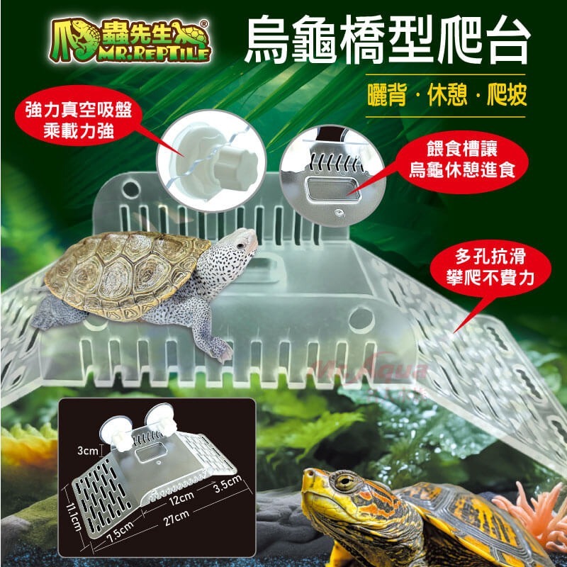 蛋叔叔-爬蟲先生-烏龜橋型爬台/曬台/浮台/烏龜島/曬背/壓克力/吸盤式/休息台/睫角守宮/巨人守宮/樹蛙/寄居蟹/蠑螈-細節圖2