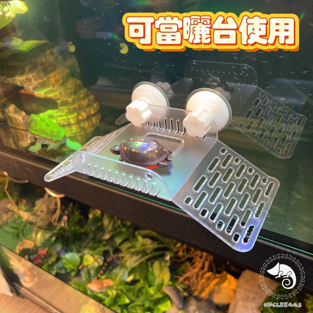 蛋叔叔-爬蟲先生-烏龜橋型爬台/曬台/浮台/烏龜島/曬背/壓克力/吸盤式/休息台/睫角守宮/巨人守宮/樹蛙/寄居蟹/蠑螈-細節圖3