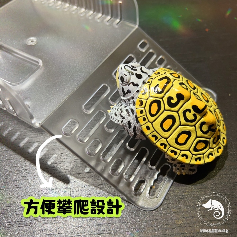 蛋叔叔-爬蟲先生-烏龜橋型爬台/曬台/浮台/烏龜島/曬背/壓克力/吸盤式/休息台/睫角守宮/巨人守宮/樹蛙/寄居蟹/蠑螈-細節圖6