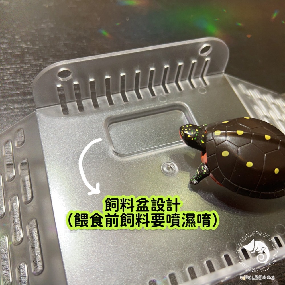 蛋叔叔-爬蟲先生-烏龜橋型爬台/曬台/浮台/烏龜島/曬背/壓克力/吸盤式/休息台/睫角守宮/巨人守宮/樹蛙/寄居蟹/蠑螈-細節圖7