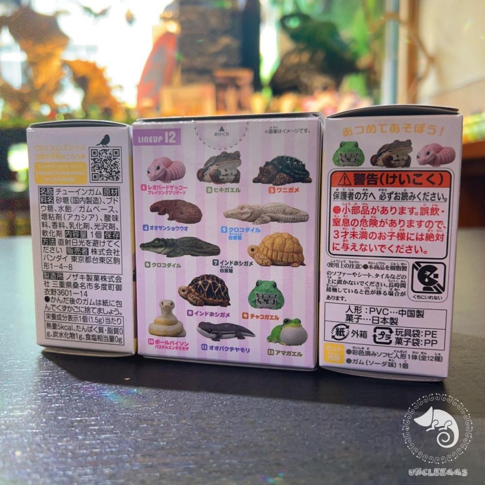 蛋叔叔-BANDAI-掌上好朋友-爬蟲食玩/第十二代/掌心陸龜/陸龜公仔/陸龜盲盒/鱷龜/擬鱷龜/盒玩/陸龜模型/星龜-細節圖2