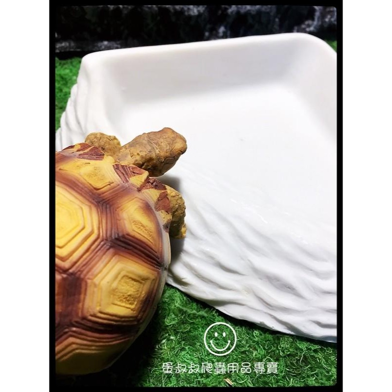 蛋叔叔-三角形餵食盆/A8750/水盆/食盆/水盤/斜坡/角落水盆/直角水盆/陸龜用/蜥蜴用-細節圖2