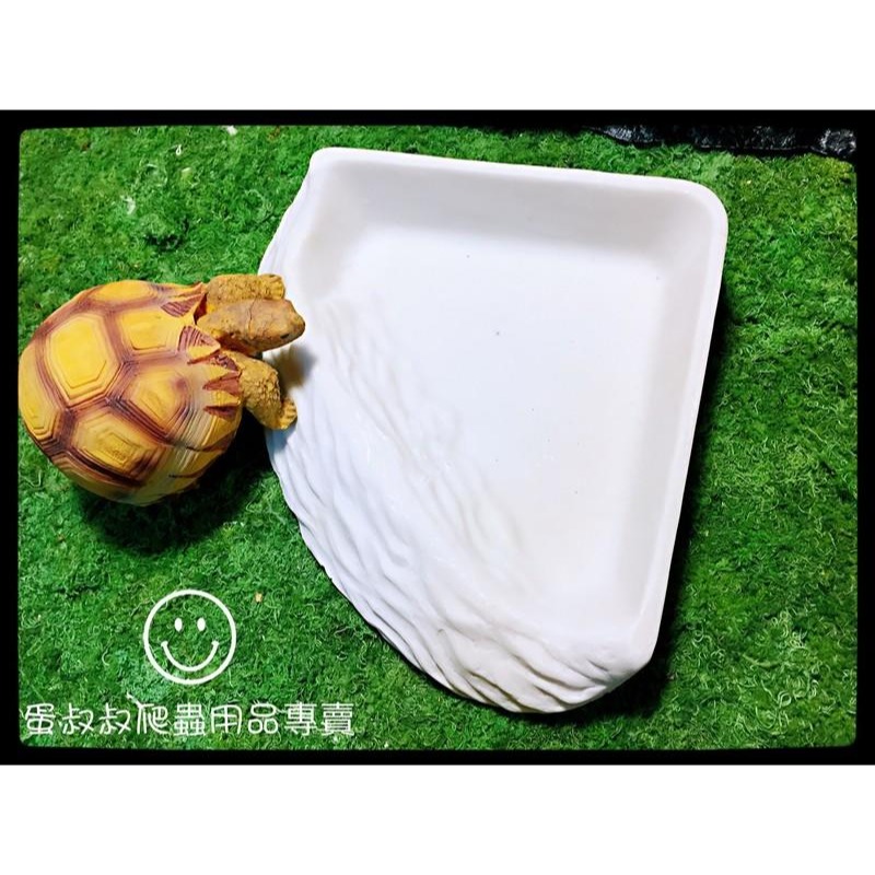 蛋叔叔-三角形餵食盆/A8750/水盆/食盆/水盤/斜坡/角落水盆/直角水盆/陸龜用/蜥蜴用-細節圖4