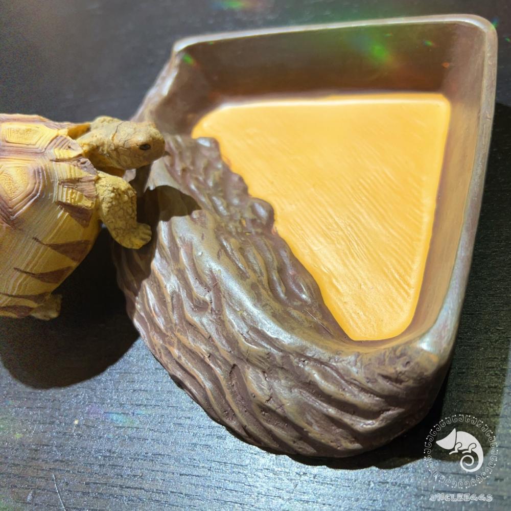 蛋叔叔-三角形餵食盆/A8750/水盆/食盆/水盤/斜坡/角落水盆/直角水盆/陸龜用/蜥蜴用-細節圖8