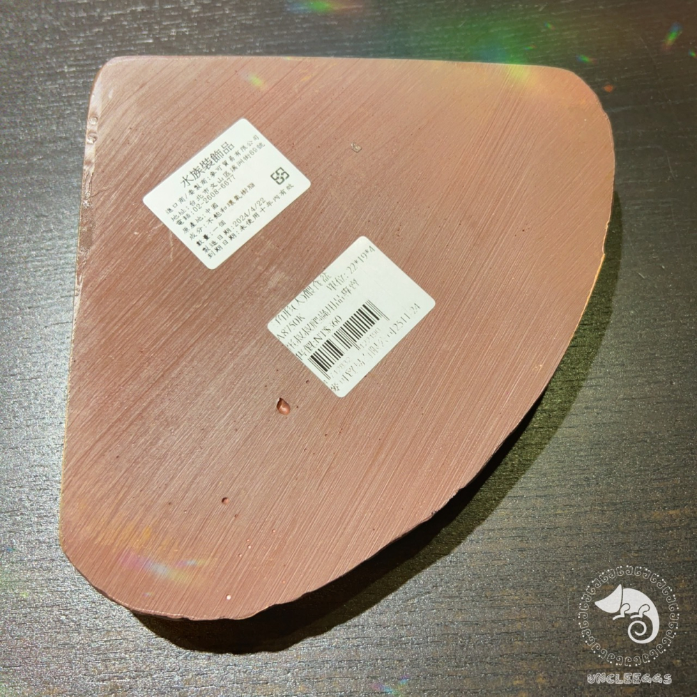 蛋叔叔-三角形餵食盆/A8750/水盆/食盆/水盤/斜坡/角落水盆/直角水盆/陸龜用/蜥蜴用-細節圖10