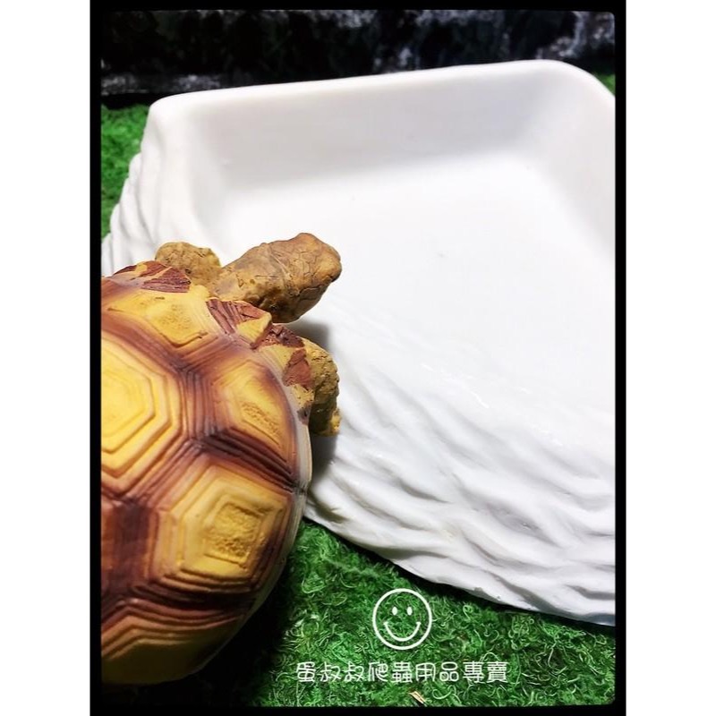 蛋叔叔-三角形餵食盆/A8750/水盆/食盆/水盤/斜坡/角落水盆/直角水盆/陸龜用/蜥蜴用-細節圖2