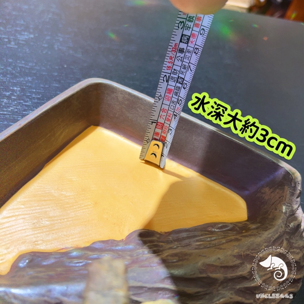 蛋叔叔-三角形餵食盆/A8750/水盆/食盆/水盤/斜坡/角落水盆/直角水盆/陸龜用/蜥蜴用-細節圖6